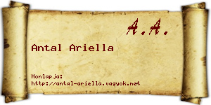 Antal Ariella névjegykártya